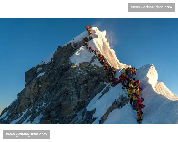 8848 米雪降：珠峰上的极限生命体验