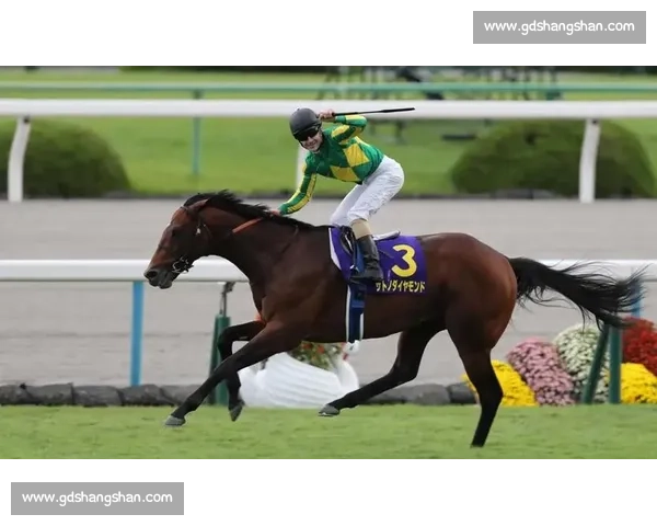 刚劲力登顶菊花赏！李慕华铸就三连冠传奇