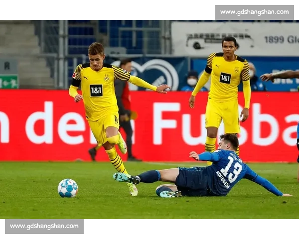 霍芬海姆主场迎战多特蒙德德甲强强对话看点十足赛前前瞻走势解析